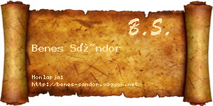 Benes Sándor névjegykártya